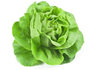 Fresh lettuce isolated on white