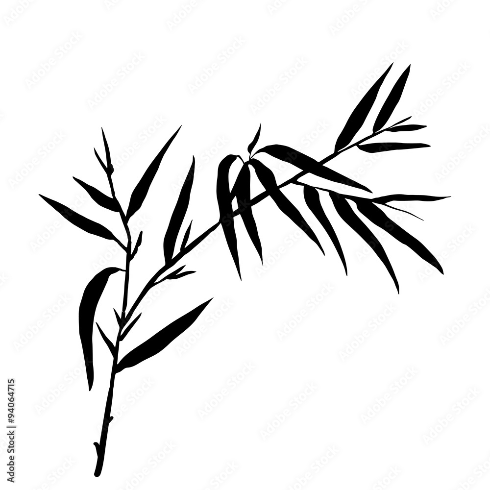 Fototapeta premium Bamboo leaf background. The top of the bamboo.