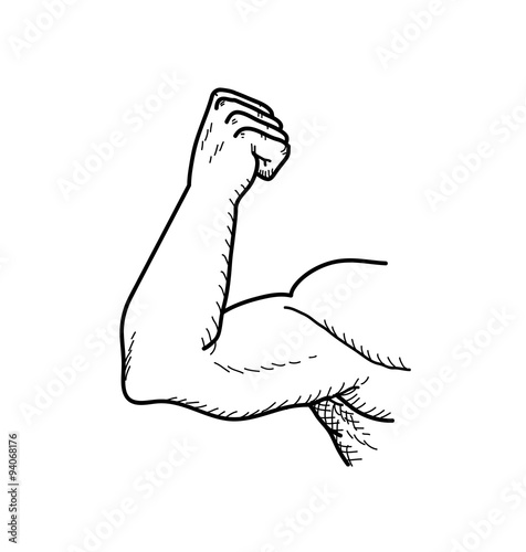 Bicep, a hand drawn vector doodle illustration of a big strong bicep of a bodybuilder.