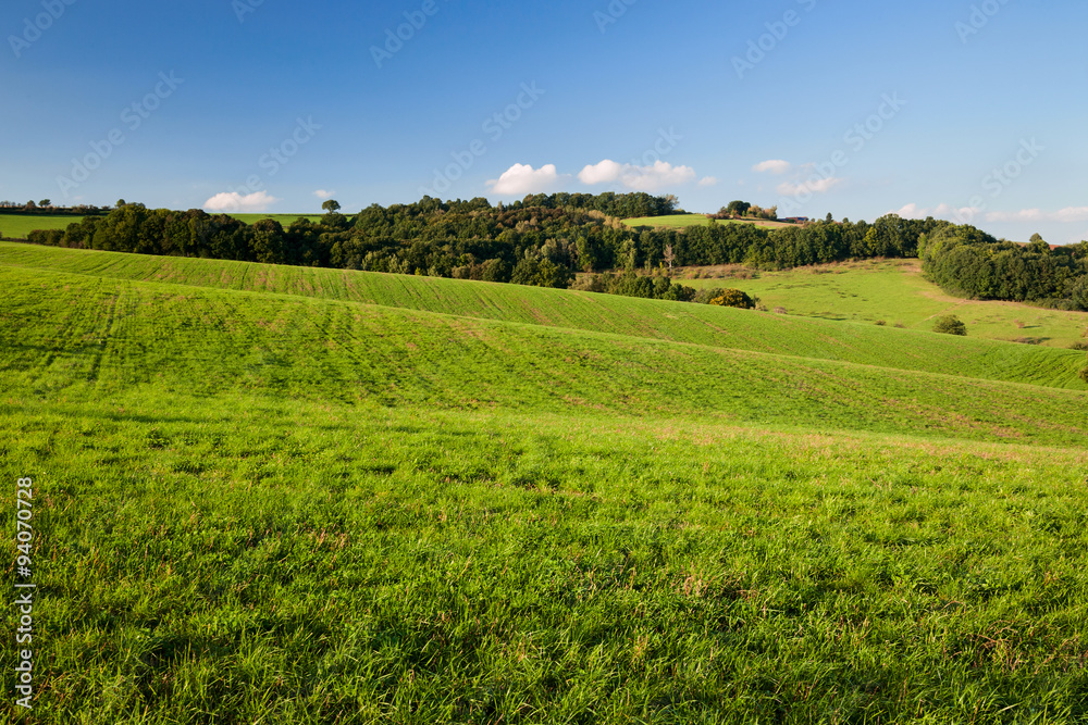 Graslandschaft im Sonnenuntergang