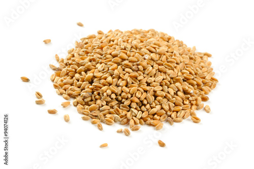 Wheat Grains Isolated on White Background