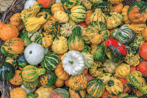 A lot of different colorful autumnal pumpkins in full basket