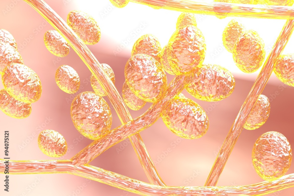 Microscopic illustration of fungi Trichophyton rubrum which cause tinea, athlete's foot