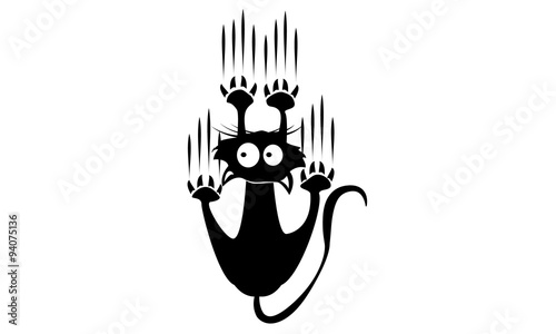 Chat qui glisse