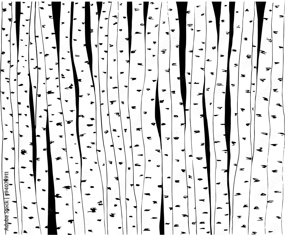Birch trees hand-drawn illustration. Vector. Use for wallpaper, pattern fills, web page background. 