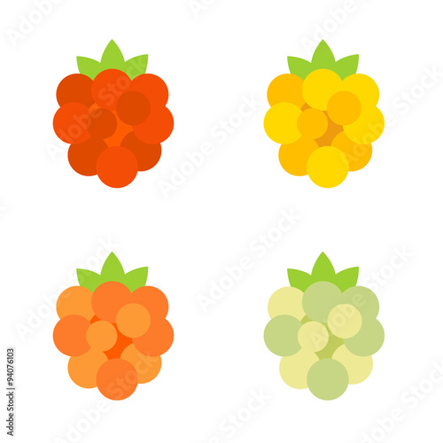 Colorful raspberry icons set isolated on white.
