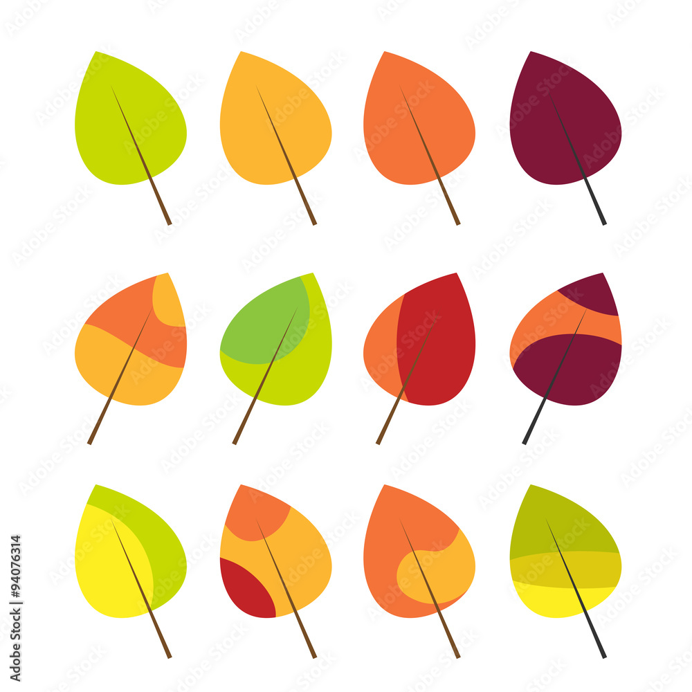 Obraz premium Colorful autumn leaves set isolated on white background 