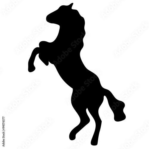 Vector silhouette of horse isolated on white background
