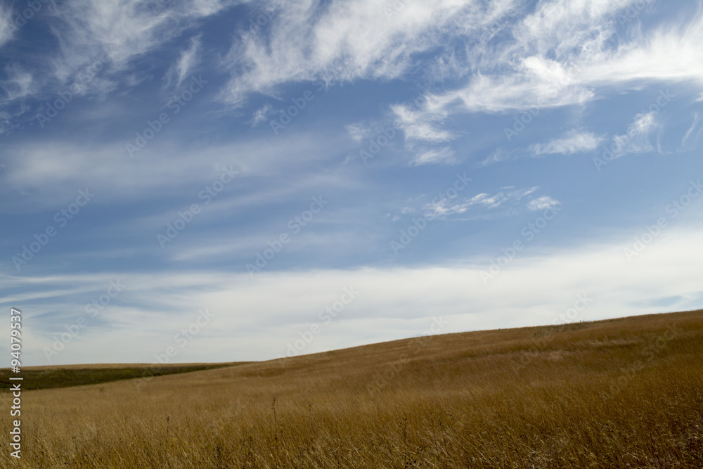 Prairie Landscape with Blue Sky