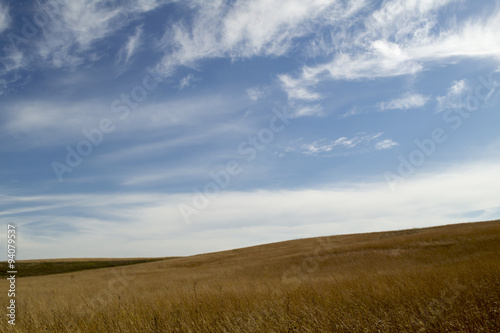 Prairie Landscape with Blue Sky