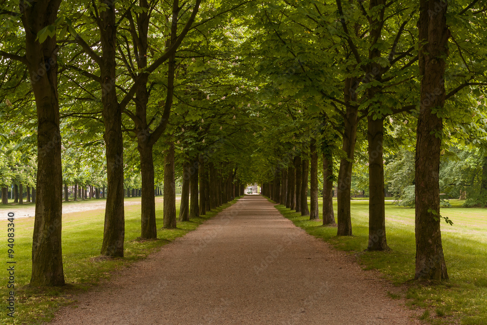 Allee Allee