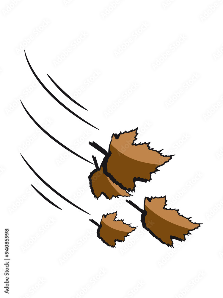 Obraz premium Autumn leaves wind fall leaves