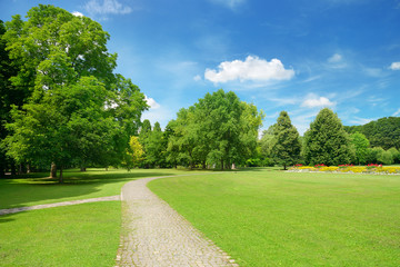 Beautiful meadow in the park