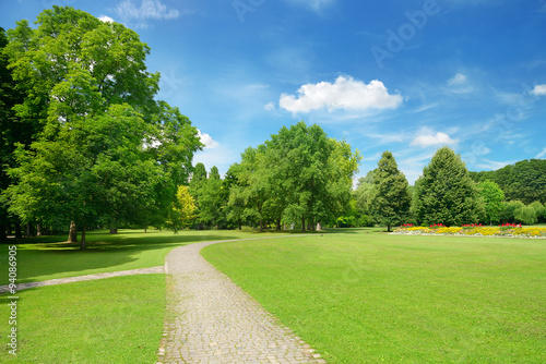 Fototapeta Naklejka Na Ścianę i Meble -  Beautiful meadow in the park