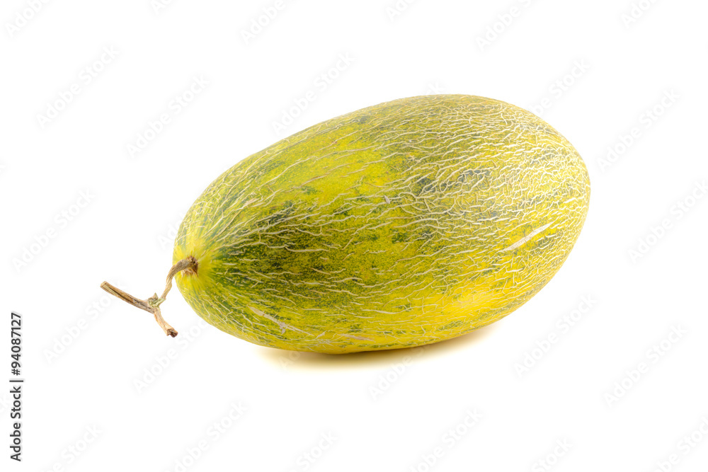 cantaloupe cantaloupe