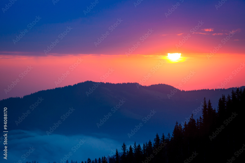 Firtrees in mountains on sunrise sun background