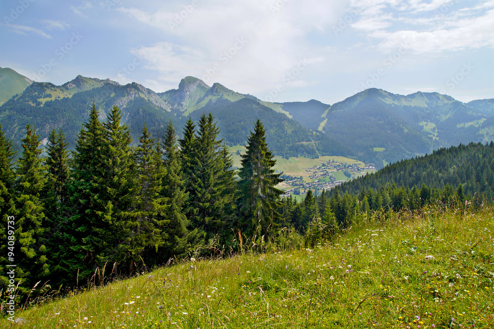 Summer landscape in the French Alps. Valley d' Abondance in region touristic Portes du Soleil
