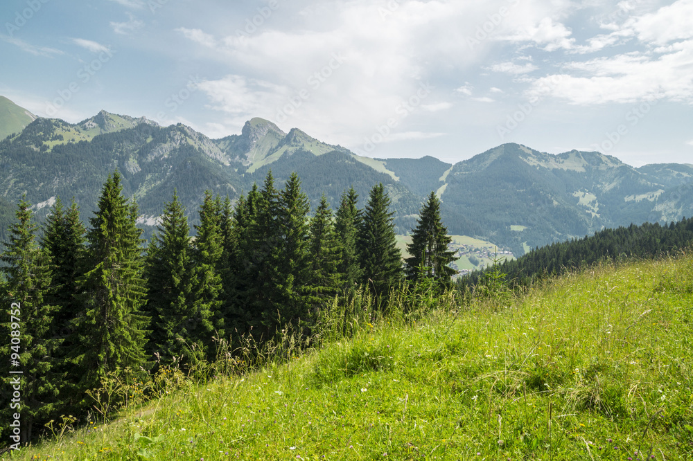 Summer landscape in the French Alps. Valley d' Abondance in region touristic Portes du Soleil