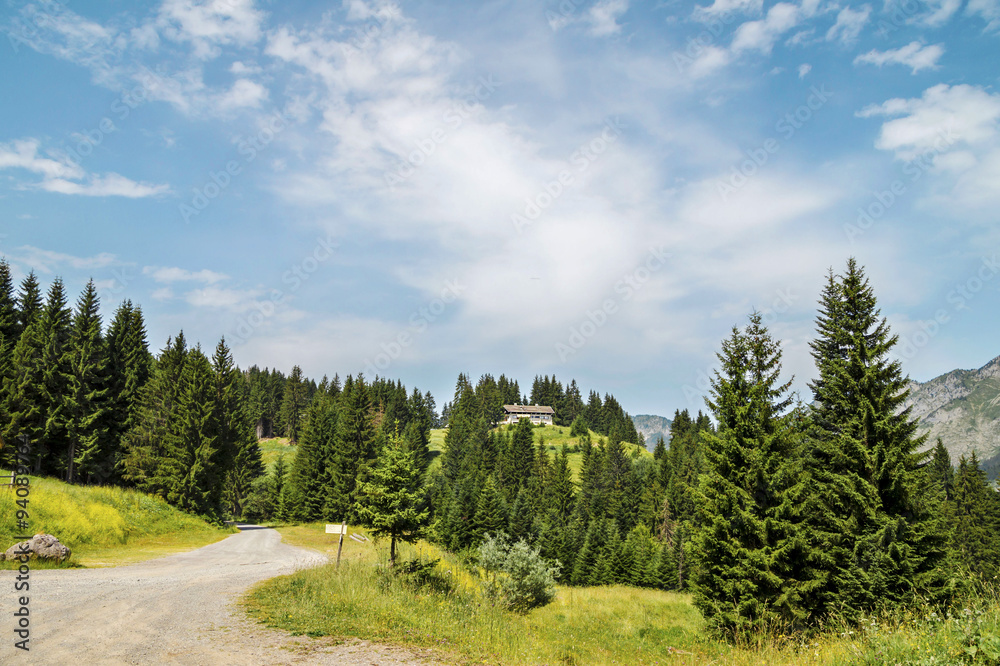 Summer landscape in the French Alps. Valley d' Abondance in region touristic Portes du Soleil