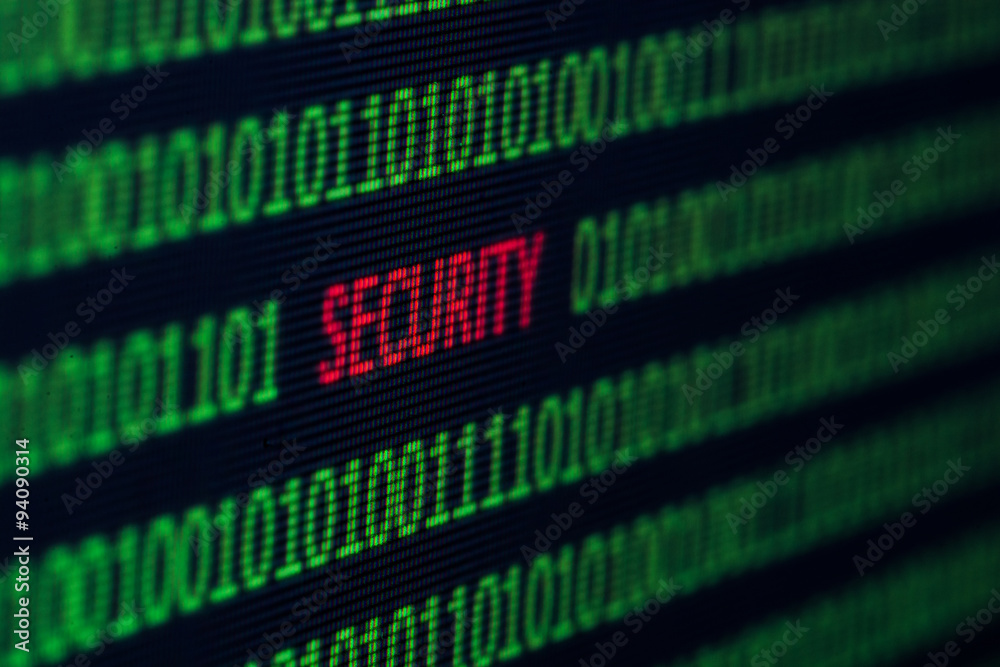 Fototapeta premium Security