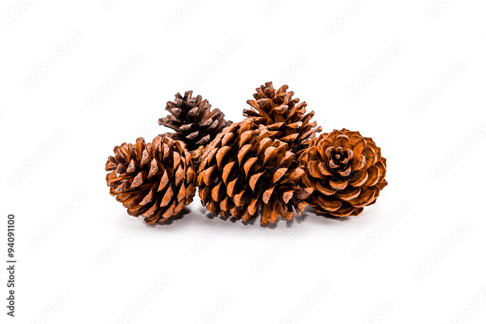 Group of 5 pine cones on white background Group of 5 pine cones on white background