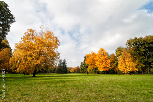 Lawn in the autumn park