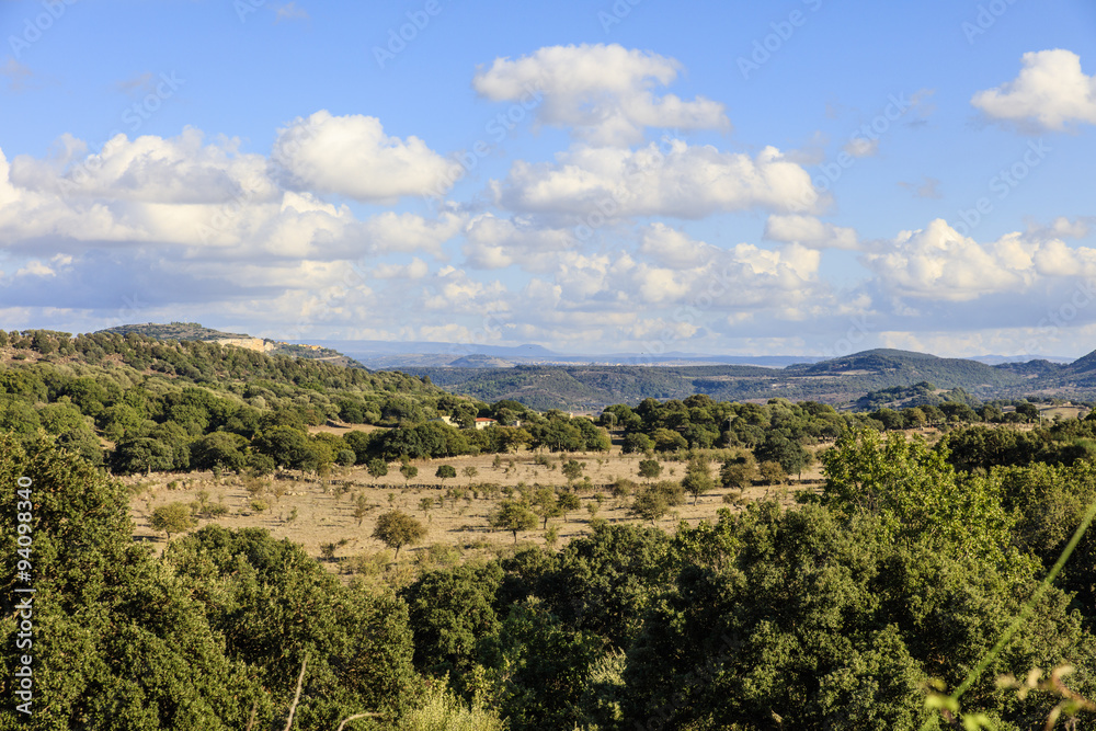 Fototapeta premium Sardinië