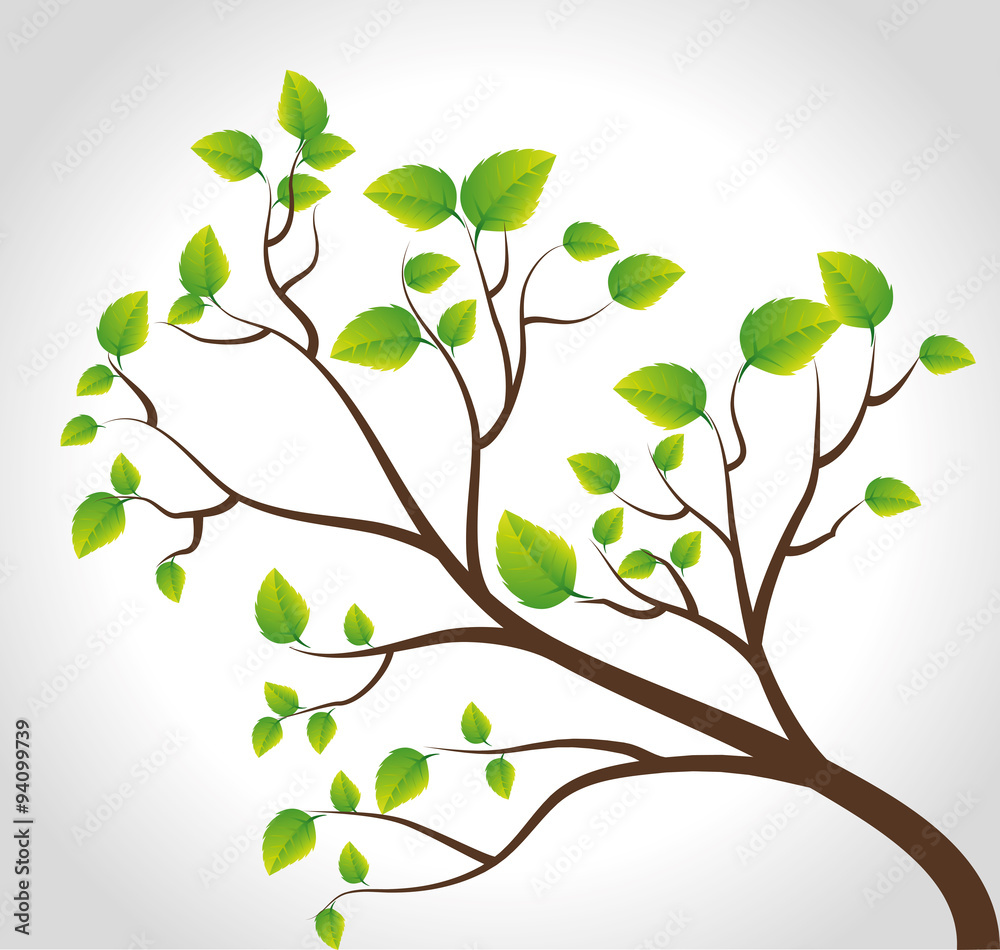 Green nature and leaves design. Green nature and leaves design.