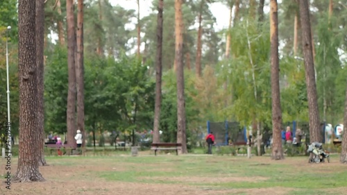 people walking in autumn park 