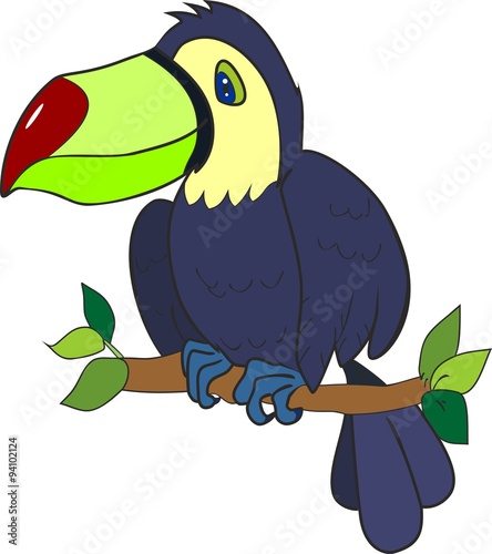 Cute toucan sitting on tree branch