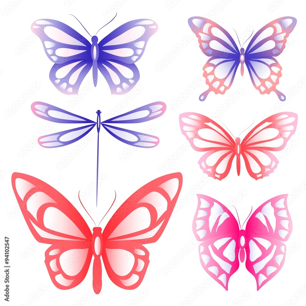 Obraz premium butterflies design