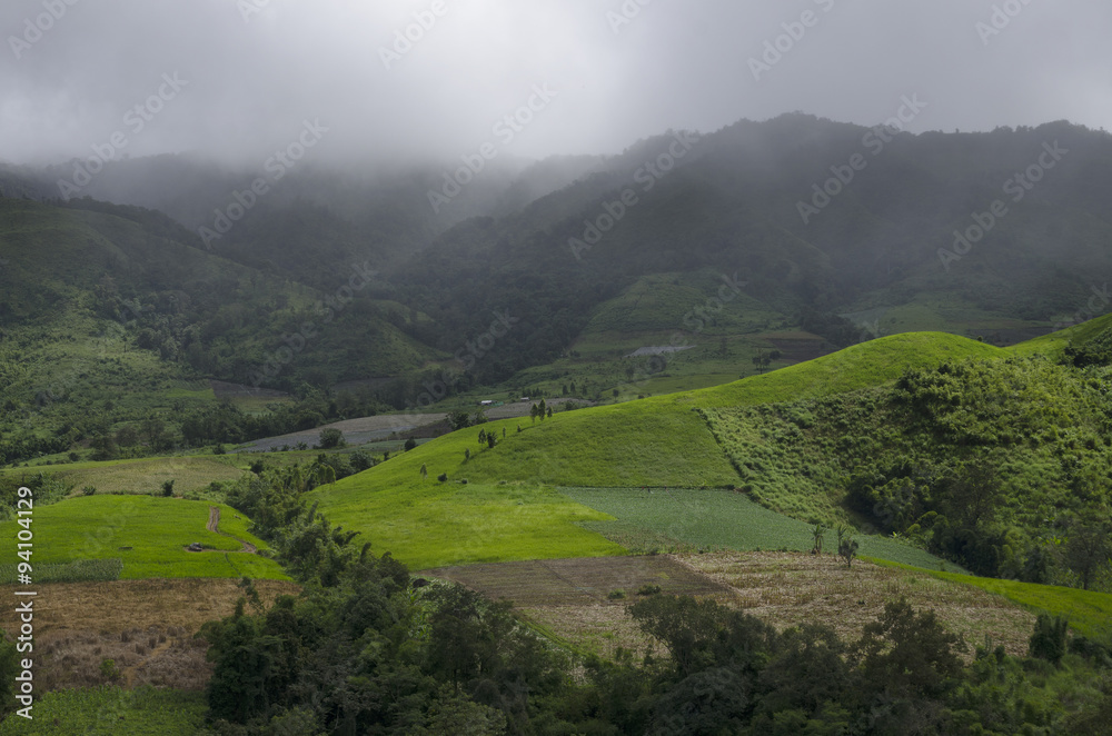 Beautiful green valley