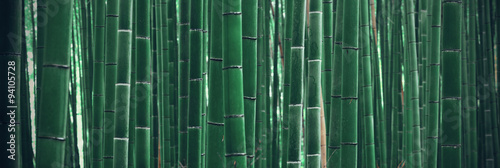 Bamboo Grove #94105728