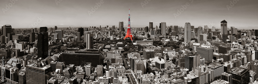 Fototapeta Tokyo Skyline