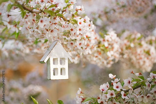 Little wooden house in Spring with blossom cherry flower sakura