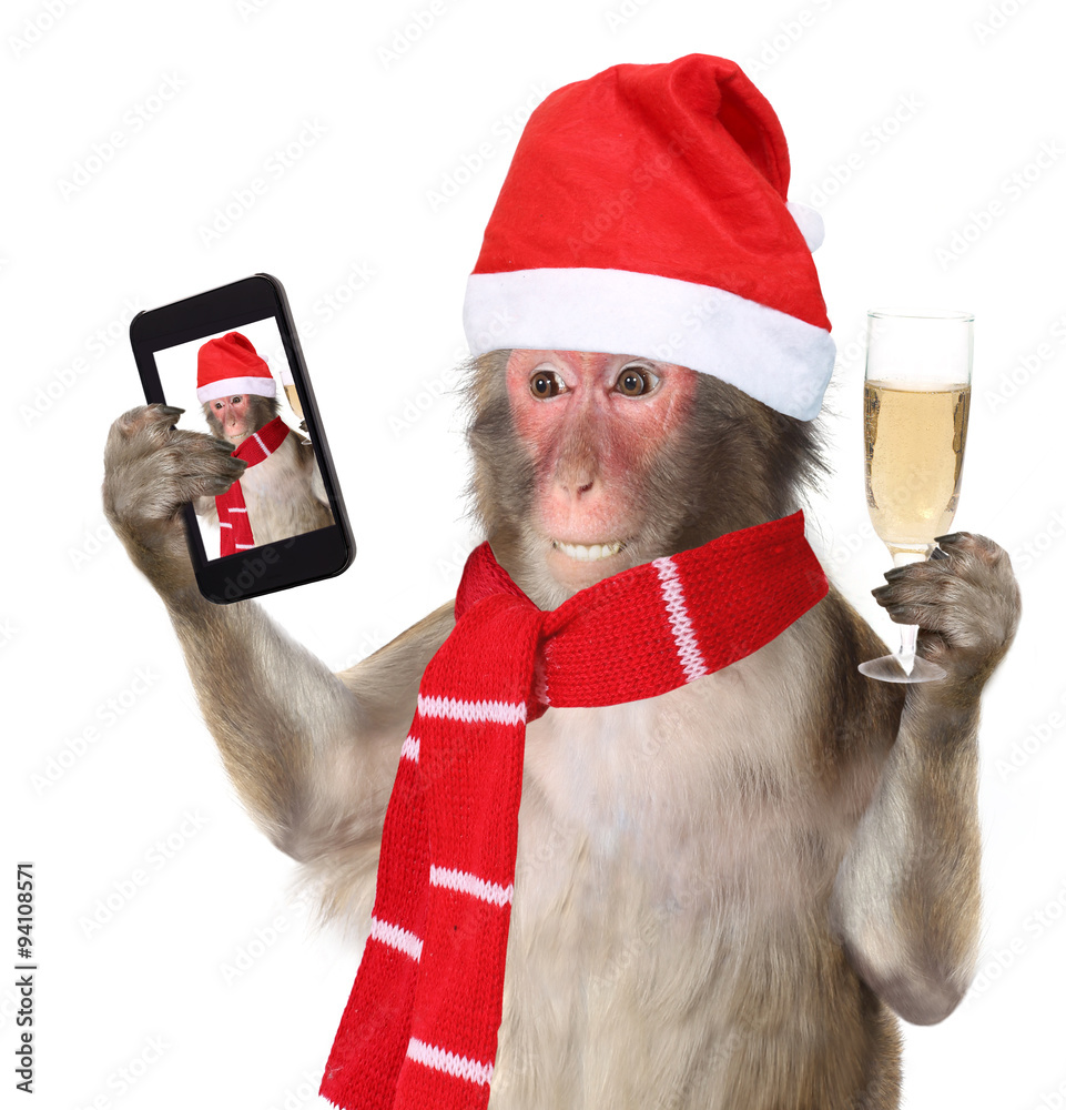 Funny monkey with christmas santa hat taking a selfie and smilin ...