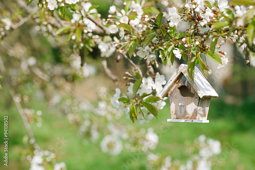Little Birdhouse in Spring with blossom cherry flower sakura © Elena Moiseeva