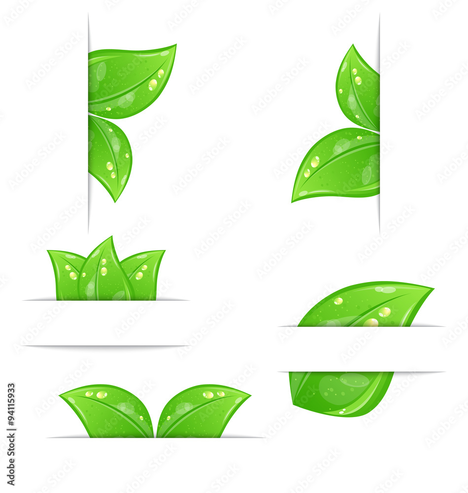 Set of green ecological labels with leaves isolated on white bac Set of green ecological labels with leaves isolated on white bac