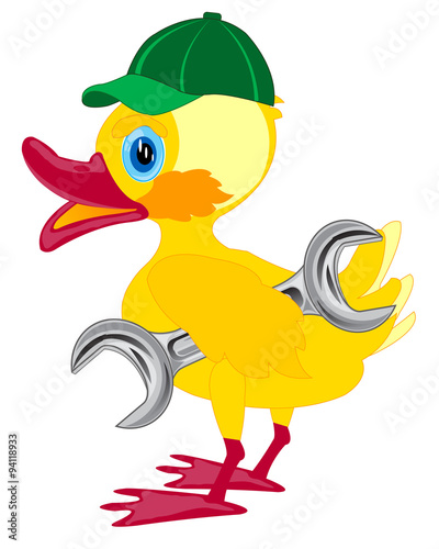 Duckling in cap and with key