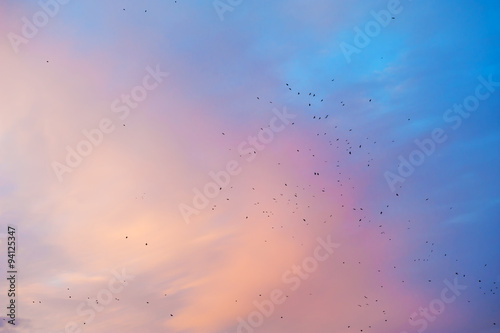 Pink and blue sky at sunset