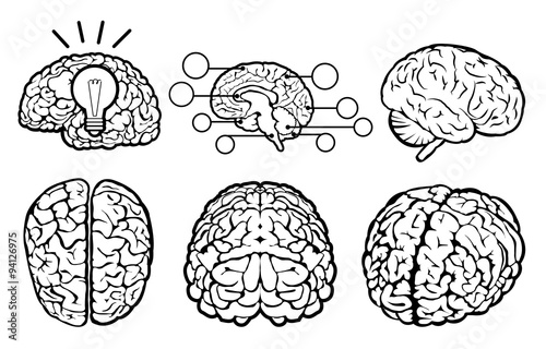 Human Brain Set