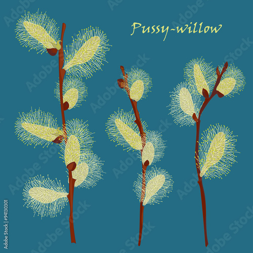 Beautiful pussy willow branches, vintage style