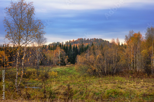 Forest autumn landscape in the national park Zyuratkul  Russia