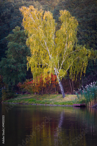 Fototapeta Naklejka Na Ścianę i Meble -  Autumn landscape in Mezhyhirya
