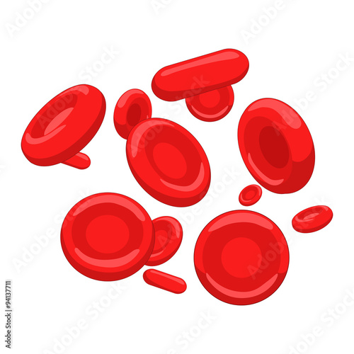 Red blood cell erythrocyte vector illustration