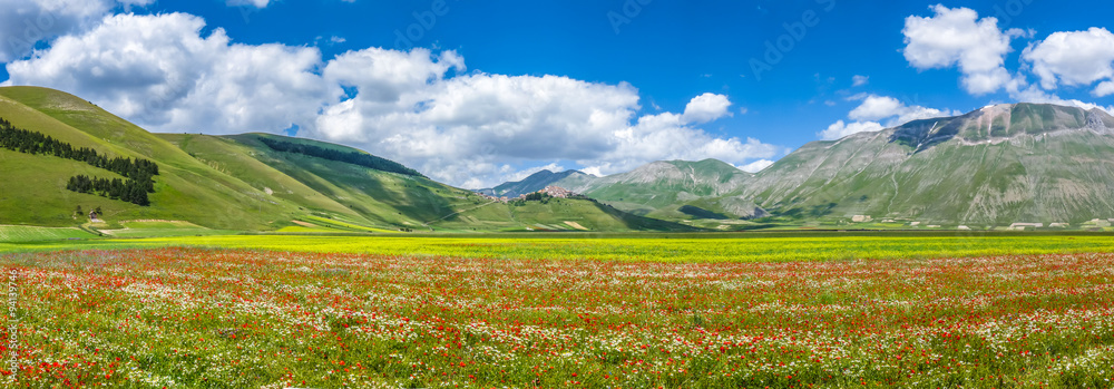 Piano Grande summer landscape, Umbria, Italy