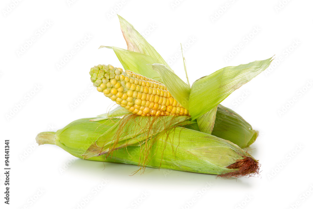 Two fresh corn, isolated on white. Two fresh corn, isolated on white.