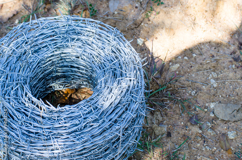 barbed Wire
