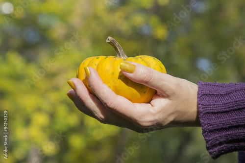 Female hand holding yellow gourd outdoors 