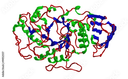 Molecular structure of alpha amylase